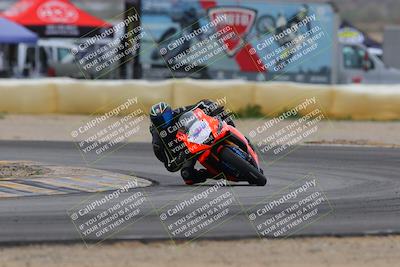 media/Jan-15-2023-SoCal Trackdays (Sun) [[c1237a034a]]/Turn 2 Set 1 (1145am)/